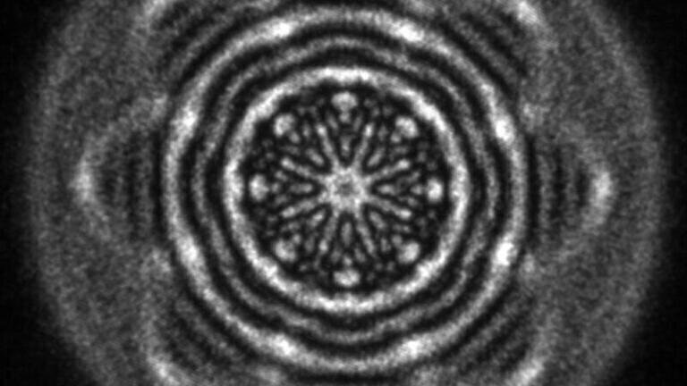 Electron Microscopy - Physical Sciences
1st Prize
Shaped electron wavefunction
Zeroth order diffracted intensity of a structured electron beam generated using a focused-ion-beam-prepared holographic aperture comprising a superposition of two Laguerre-Gaussian states with quantum numbers L and p of (4,4) and (-4,2), respectively.        
Rafal Dunin-Borkowski, Forschungszentrum Jülich
